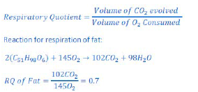 NCERT Class 11 Biology Respiration in Plants Important Notes