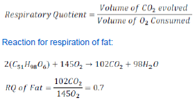 NCERT Class 11 Biology Respiration in Plants Important Notes1