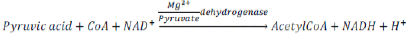 NCERT Class 11 Biology Respiration in Plants Important Notes3