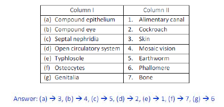 NCERT Class 11 Biology Structural Organization In Animals Important Notes