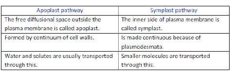 NCERT Class 11 Biology Transport in Plants Important Notes