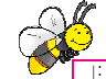 bee