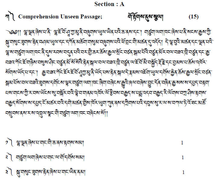 CBSE Class 10 Tibetan Boards 2020 Sample Paper Solved