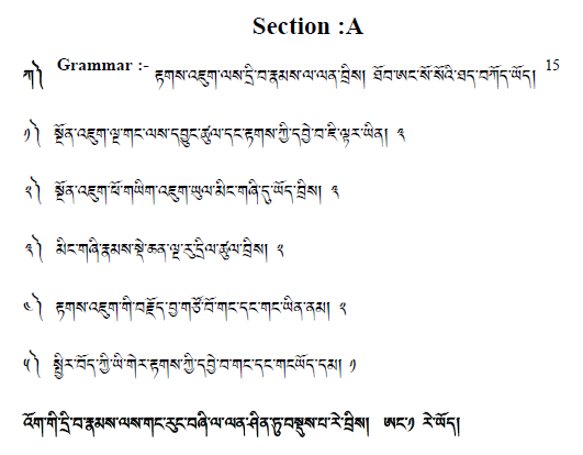 CBSE Class 12 Tibetan Boards 2020 Sample Paper Solved