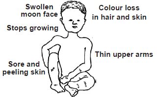 The given figures show
