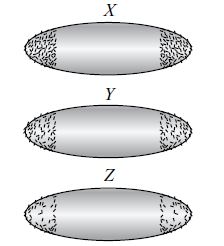 The given figures show