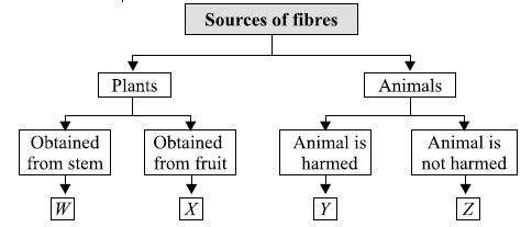 The given figures show