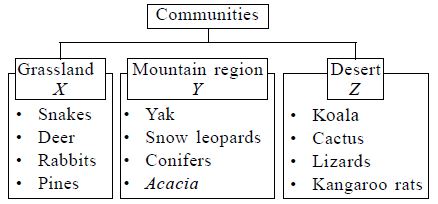 The given figures show
