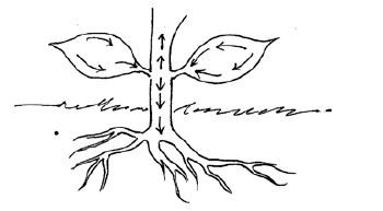 The given figures show