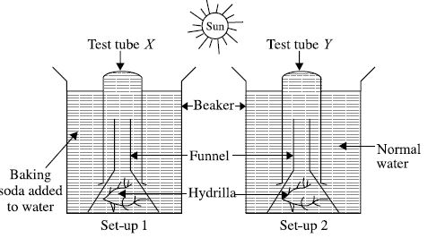 The given figures show