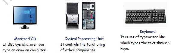 Class 3 Computer Science Computer Basics Notes1