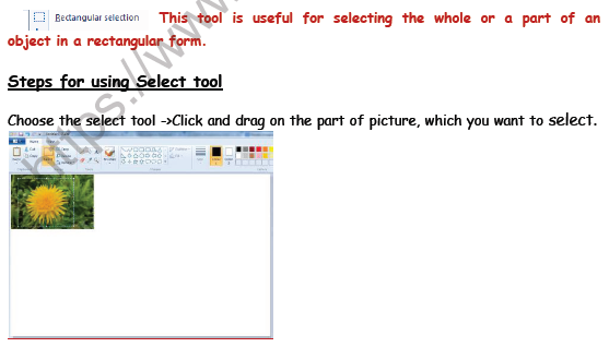 Class 3 Computer Science More About Paint Brush Notes