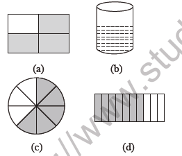 Class 4 Maths Halves and Quarters Worksheet1