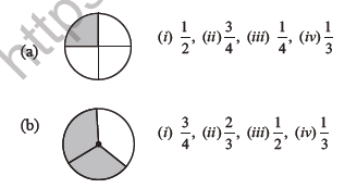 Class 4 Maths Halves and Quarters Worksheet2