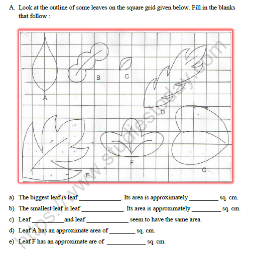 Class 5 Maths How many Squares Worksheet Set A