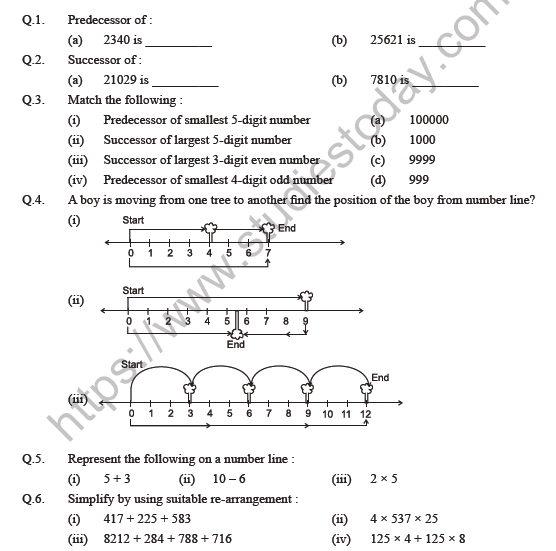 Class 6 Maths Whole Numbers Worksheet