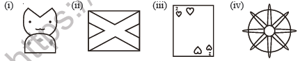 Class 7 Maths Symmetry Worksheet1