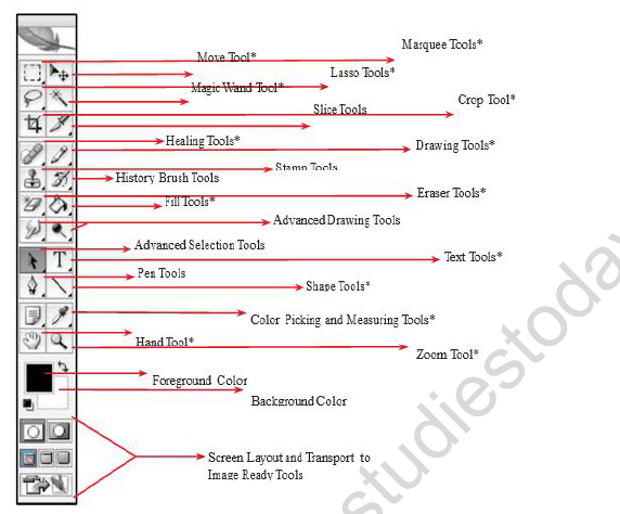 Class 8 Computer Science Photoshop Review Notes1