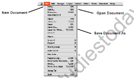 Class 9 Computer Science Review of Photoshop Notes1