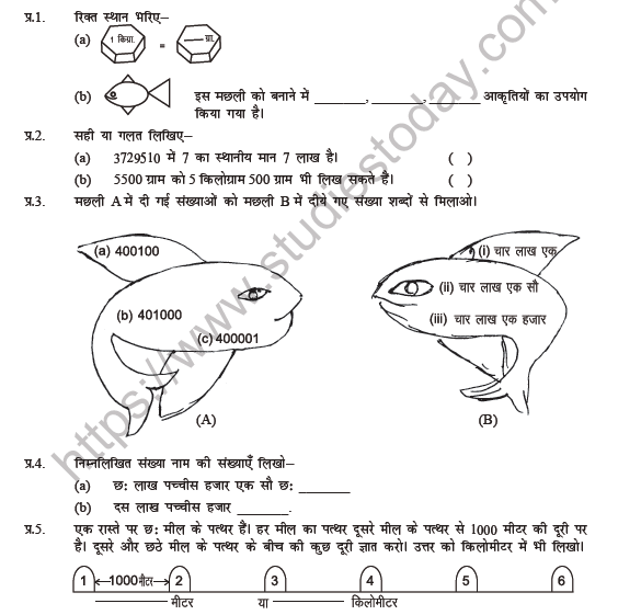 Class-5-Maths-(Hindi)-Machli-Machli-Worksheet