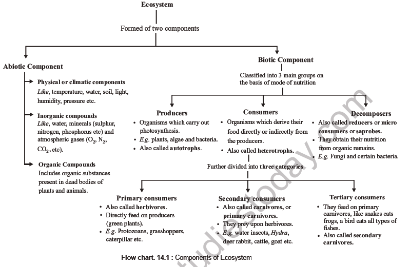 NEET Biology Ecosystem Notes