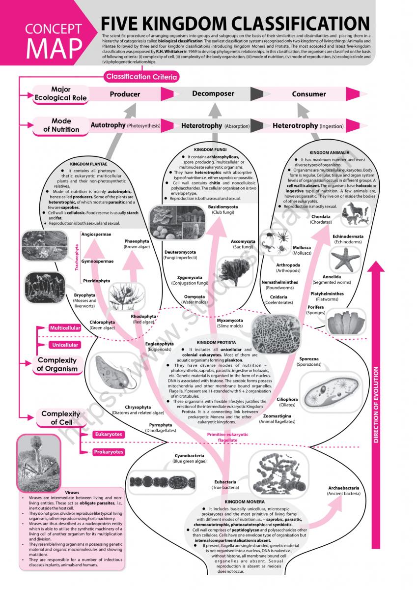 NEET Biology Five Kingdom Classification Concept Map