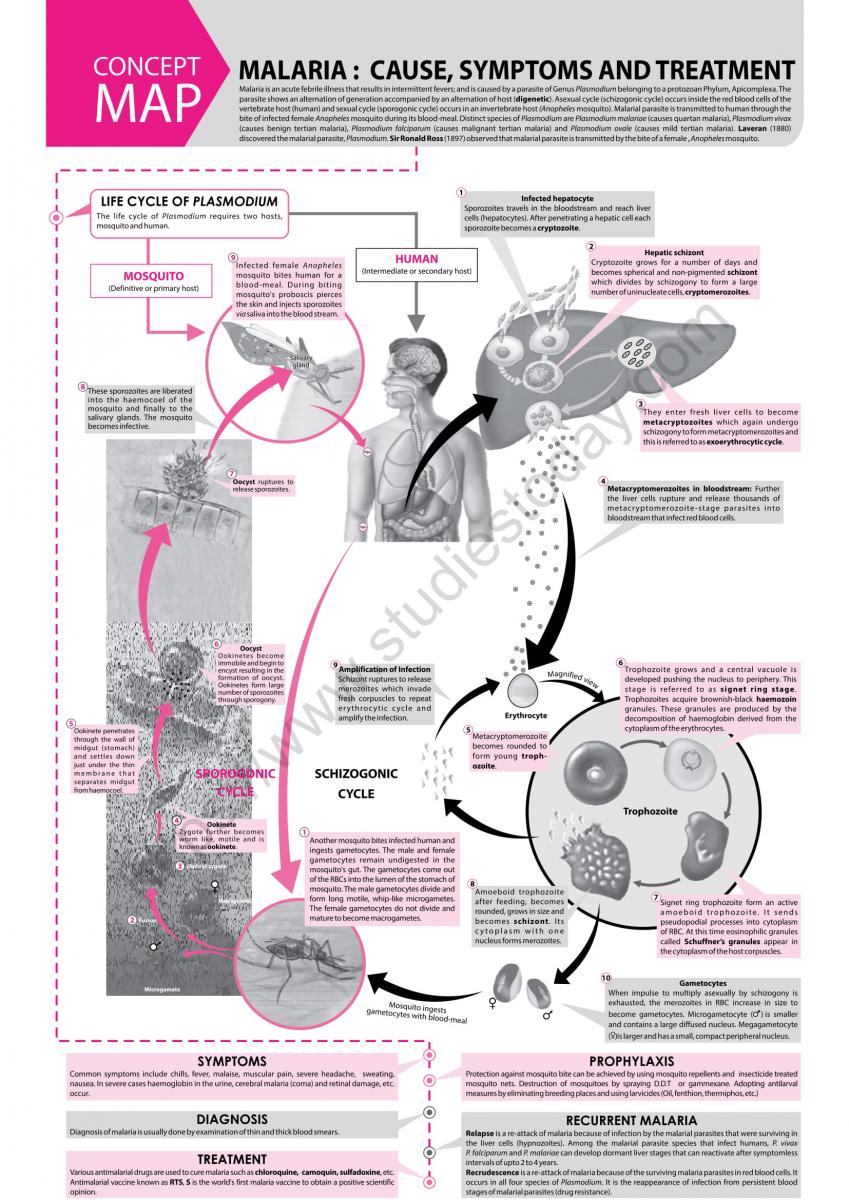 NEET Biology Malaria Concept Map