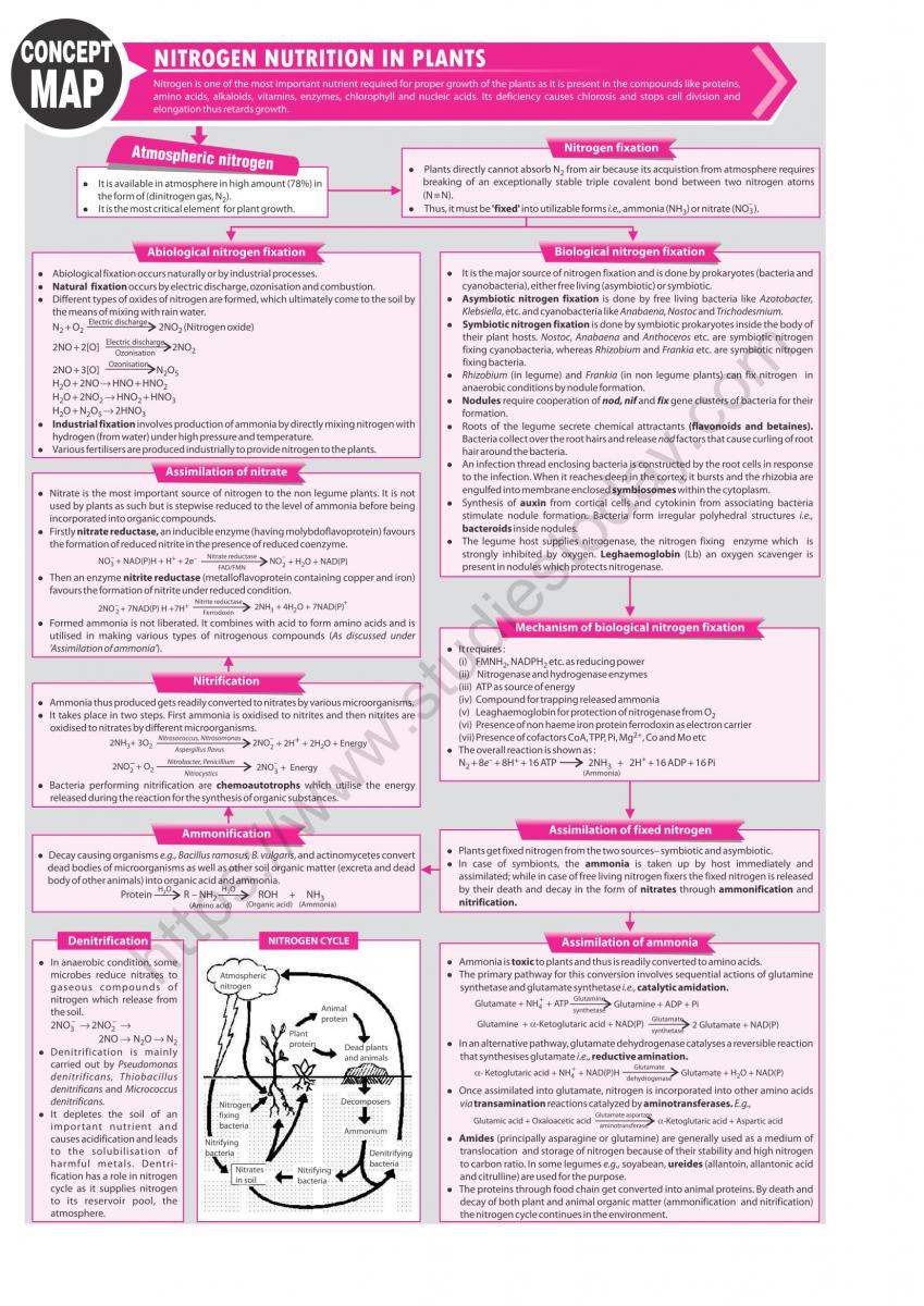 NEET Biology Nitrogen Nutrition in Plants Concept Map