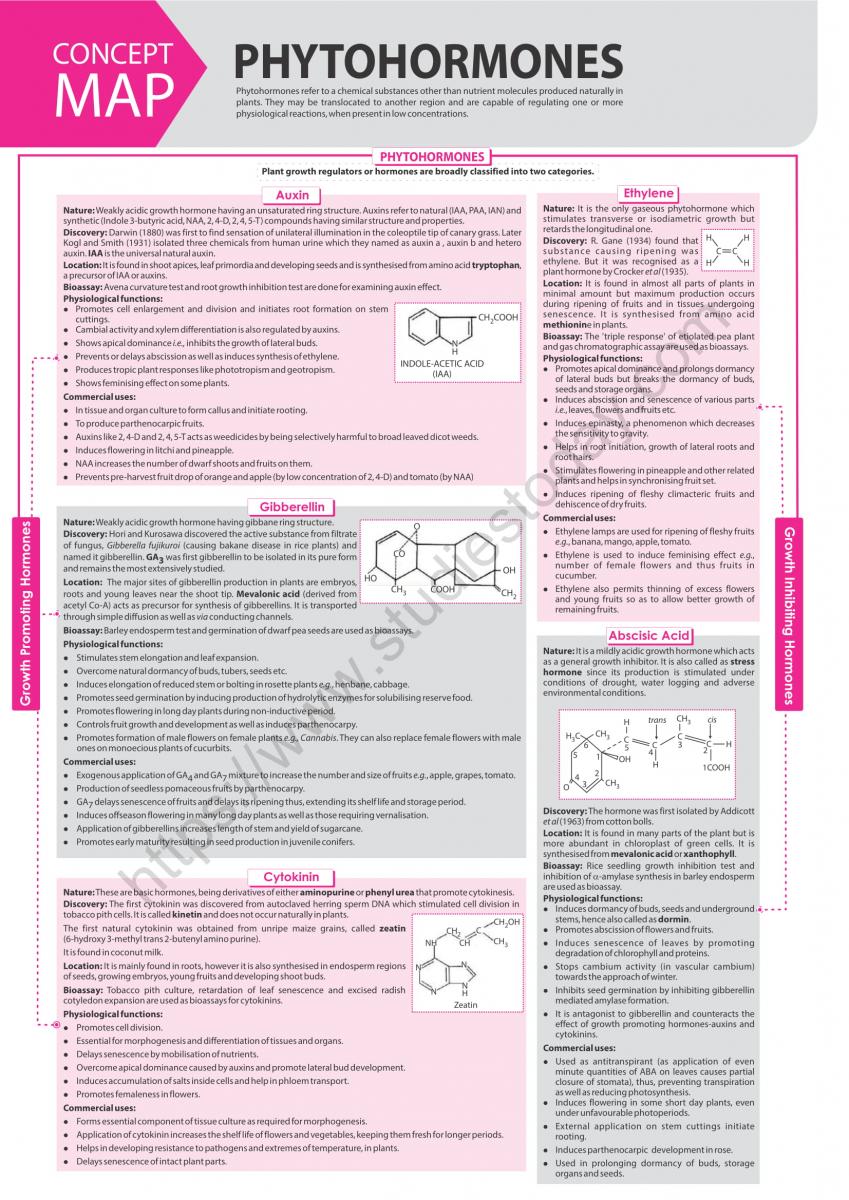 NEET Biology Phytohormones Concept Map