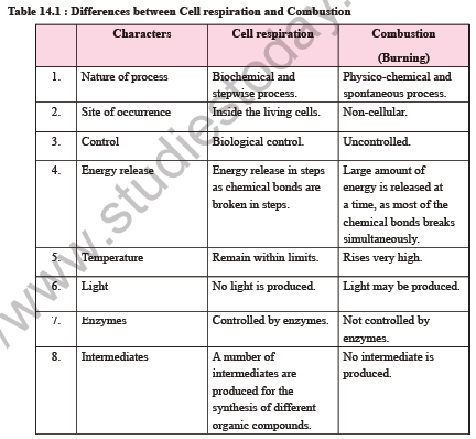 NEET Biology Respiration in Plants Notes