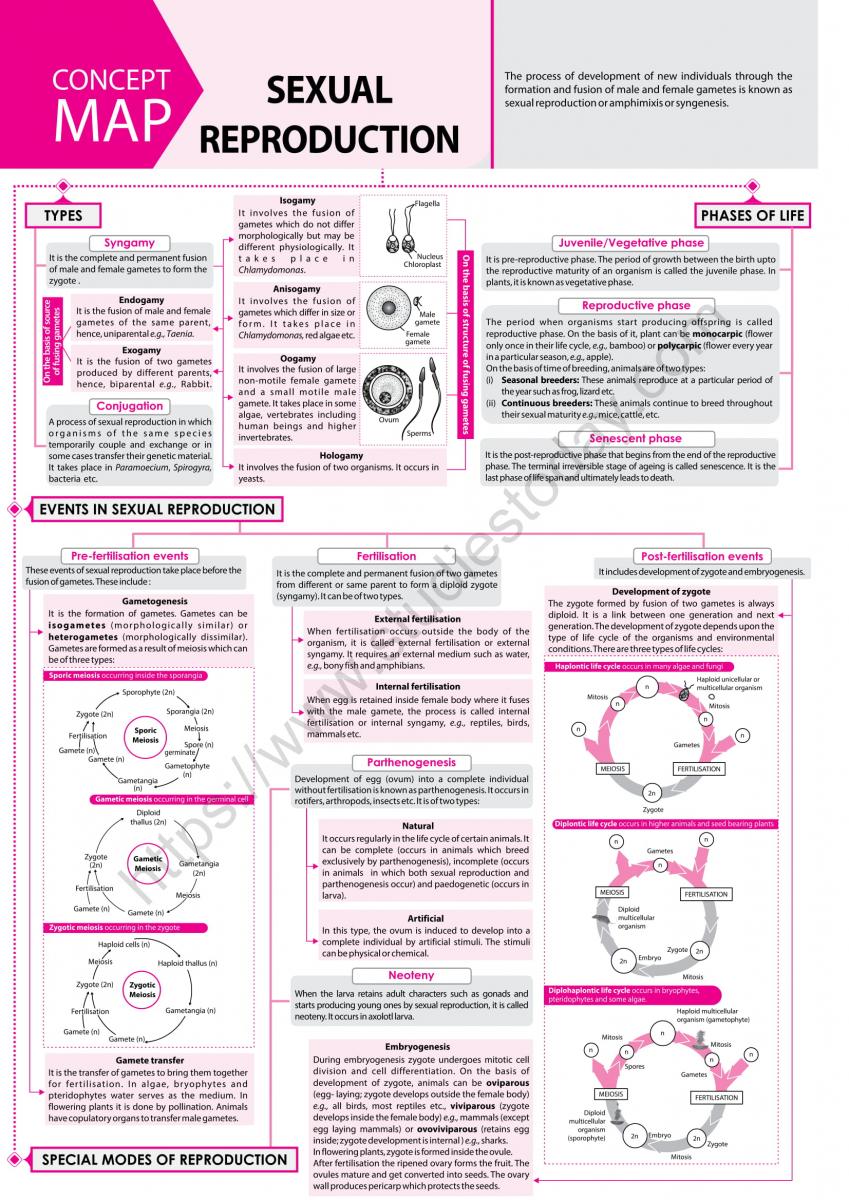 NEET Biology Sexual Reproduction Concept Map