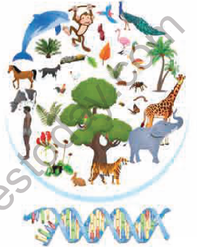 NEET Botany Diversity of Living World Chapter Notes