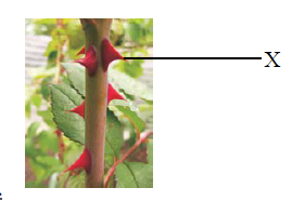 d18