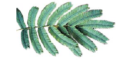 d19