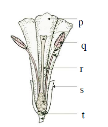 d21