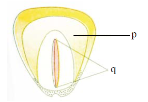 d25