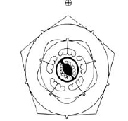 d24