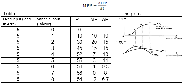 Class 12 Economics Producer Behaviour