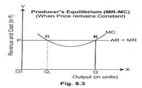 Class 12 Economics Producer