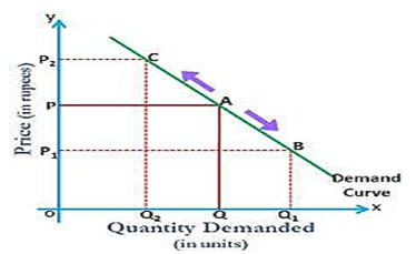 Economics Revision Notes9