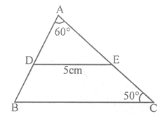 Mathematics geometry77