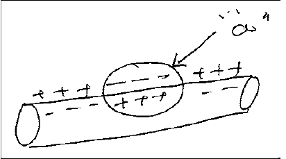 N19