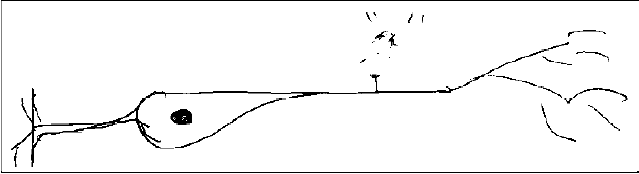 N3