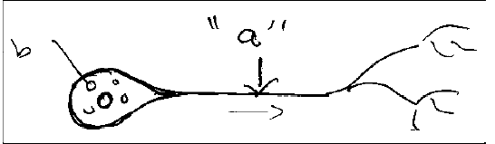 N5
