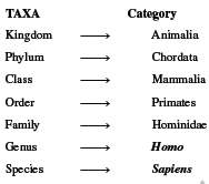 NEET Biology Animal Diversity Chapter Notes2