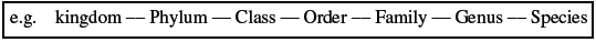 NEET Biology Animal Diversity Chapter Notes