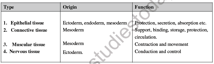 NEET Biology Animal Tissue Chapter Notes