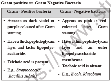 NEET Biology Biological Classification Chapter Notes2