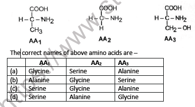 NEET Biology Biomolecules MCQs Set A1