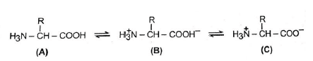 NEET Biology Biomolecules MCQs Set A2